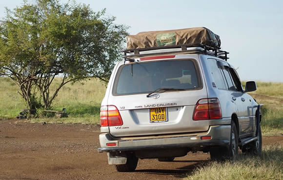 Explore the Serengeti & Ngorongoro in a rugged Land Cruiser 78 Series 4×4. Rooftop tent options, full insurance, unlimited mileage. Book from Arusha.